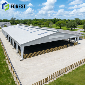 Diseño Estándar de Gran Espacio Abierto de 60x120 pies, Pabellón Ecuestre Prefabricado de Acero a Gran Escala para Entrenamiento Profesional - Product Image 1