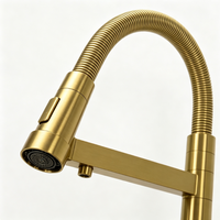 Robinet de cuisine de luxe doré 5 voies, rotatif à 360 degrés, mitigeur eau chaude et froide, filtre à eau, robinet 5 en 1