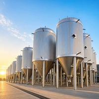 Cuve de Fermentation de Bière en Acier Inoxydable Tonsen 1000L-3000L [Capacité] Unitank HL pour Brasserie Commerciale