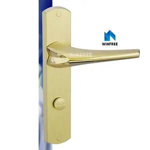 Guangdong WINFREE Aluminum Clamp Sliding Door Handle Lock Accessories with Mortise Lock and Key Cylinder Black Patio Door Lock H