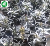 Hachoir à légumes en acier inoxydable, Broyeur de légumes pour aliments pour volailles, Nouveau type de coupe-légumes, Hachoir à légumes, Hachoir à herbe