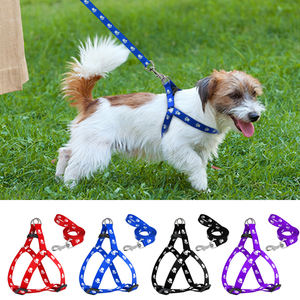 Arnés para Perro en Forma de Y de Lujo Simple, Bordado Personalizado, Cómodo, Ajustable, con Bufanda de Piel, Arnés para Perro Personalizado y Moderno - Product Image 6