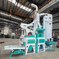 Prix d'usine 100-2000 kg/h Grande machine à décortiquer le riz 220V 380V Machine à blanchir le riz Portable Machine à décortiquer le riz moderne