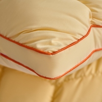 Oreiller de cou super doux, oreiller matelassé d'hiver INS, oreiller de lit pour la maison et l'hôtel, en fibre de polyester, 4 couleurs au choix, oreiller individuel