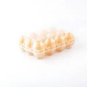 Factory hot sell egg tray plastic box for quail egg PET material egg tray