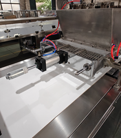 Machine à fabriquer des pépites de chocolat de 1000 mm, machine à déposer des pépites de chocolat, vente chaude