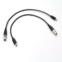 Werkseitig OEM USB Typ C Stecker mit Licht zu XLR 4Pin Mini Buchse/Stecker DMX Audio Kabel