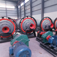 Machine humide portative de broyeur à boulets de minerai de cuivre d'extraction d'or de petit modèle à bas prix à vendre