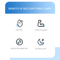 Panneau de luminothérapie rouge OEM ODM, luminothérapie rouge pour le visage, panneau de luminothérapie infrarouge avec support, appareil domestique, 60 perles LED