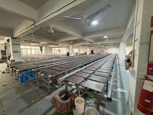 Camiseta de Mujer 2022 American Spice Girls, Cuello Redondo, Volantes Laterales, Manga Corta, 100% Algodón Tejido, Estilo Hip Hop, Elástica, Color Sólido - Product Image 4