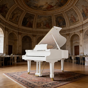 Piano acoustique artisanal en bois massif de style Bari italien, vente en gros d'usine, pour la décoration et la pratique à domicile ou en villa, design compact - Product Image 3