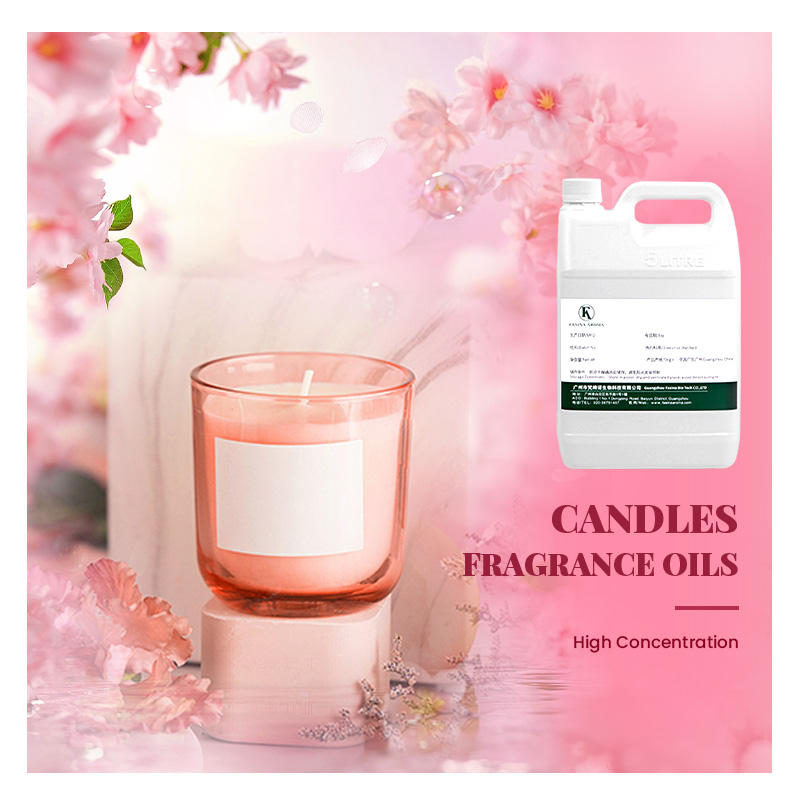 Candle Shack Patchouli Rose Candle Damson Plum, Rose Patchouli