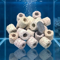 Blocs filtrants carrés en céramique pour aquarium, médias biologiques écologiques pour bassin d'eau salée, aquarium et filtration de l'eau.