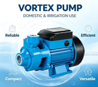 Pompe à eau périphérique haute efficacité, faible bruit, auto-amorçante, à vortex, pour surpression d'eau domestique et alimentation en eau de jardin