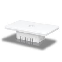 Interrupteur mural tactile double pôle en matériau PC, contrôleur de minuterie, relais 10A max 240V, double prise, double interrupteur, compatible Google Home et Alexa