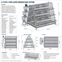 Nouveau système de cages automatiques à cadre en A pour poules pondeuses, à faible coût, en acier galvanisé, conception de type batterie, pour ferme avicole, poulailler à œufs, 3/4 niveaux