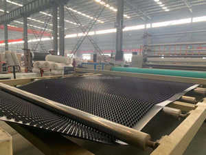 ガレージ屋根緑化HDPE排水ボード地下トンネル水ろ過排水ボード - Product Image 4