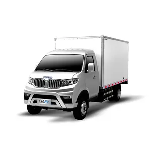 SRM Xinyuan New Energy T50 Ev Pure Electric Cargo Vehicle 4 Wheel Electric Van For Adults