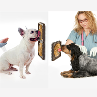 Nouvelle conception d'accessoires pour animaux de compagnie, distributeur de nourriture pour animaux de compagnie, distributeur de nourriture pour chien, puzzle pour chien, 4 plaques, distributeur de nourriture lent pour chien
