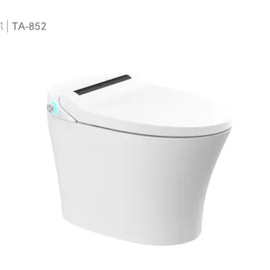 Saubere automatische Spülung Smart Toilette Lady Cleanse Smart Toilette Weibliche Keramik Toilette Sanitär keramik Einteiler Wc Toliet Modern