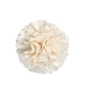Parfum De maison À La Main Diffuseur De Roseau Sola Fleur - Product Image 2