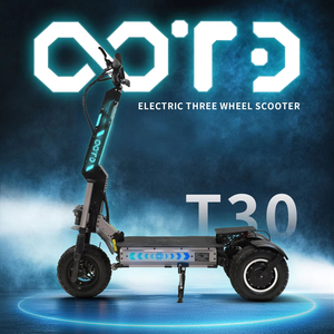 Patinete Eléctrico Plegable de Tres Ruedas OOTD T30 para Adultos - Almacén UE - Product Image 1