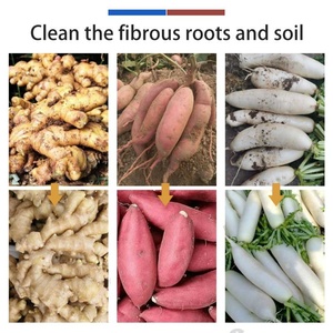 เครื่องล้างผักหัวกลมแบบโรตารี่สำหรับขิง จิคามา เผือก มันฝรั่ง เพื่อขจัดดินและโคลน - Product Image 5