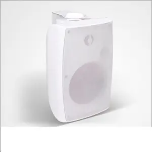 Professional Mount Wall Audio Speaker For Home Theatre,Office,Shop