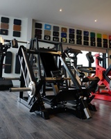 Máquina de Remo Lineal para Gimnasio, Equipo de Ejercicio para Espalda, Remo para Deltoides, Máquina de Entrenamiento de Fuerza Lateral para Espalda