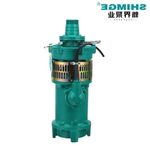 SHIMGE oil immersed <b>submersible</b> <b>pump</b> QY40-56-2-11L1 65-42-2-L1 15-142-61 25--5.5L1 250-5-Z1 350-3.51 - Product Image 2