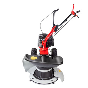 เครื่อง Rs210เครื่องตัดหญ้าแบบโรตารี่ eurosystems ความกว้างในการทำงาน196cc เครื่องยนต์เบนซิน64ซม. - Product Image 2