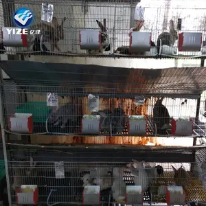 Chine usine en gros professionnel lapin intensif ferme cage avec accessoires