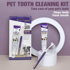 Kit de soins dentaires pour animaux de compagnie, 3 en 1, saveur de bœuf, dentifrice pour chien, ensemble de brosses à dents, vente en gros
