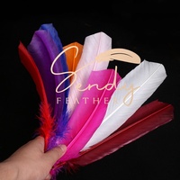 Accessoire de Carnaval Plumes de Dindon 25-30-35cm pour Costume de Danse du Carnaval du Brésil, Coiffe et Sac à Dos