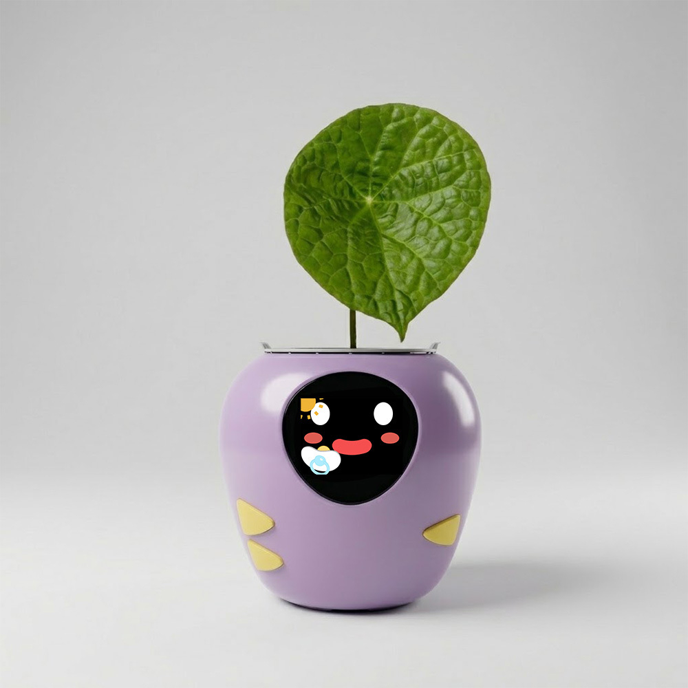 Pourpre