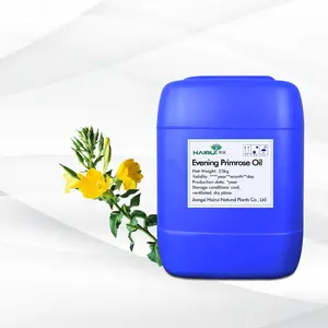 Olio Base di enotera per massaggio alla rinfusa olio di enotera di qualità delle materie prime di qualità della fabbrica