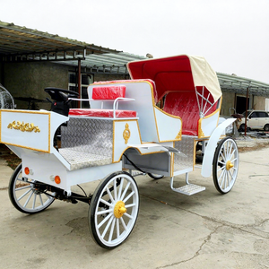 Carrosse royal pour chevaux Marathon pour poney, en acier, modèle citrouille, attelé par des chevaux - Product Image 1