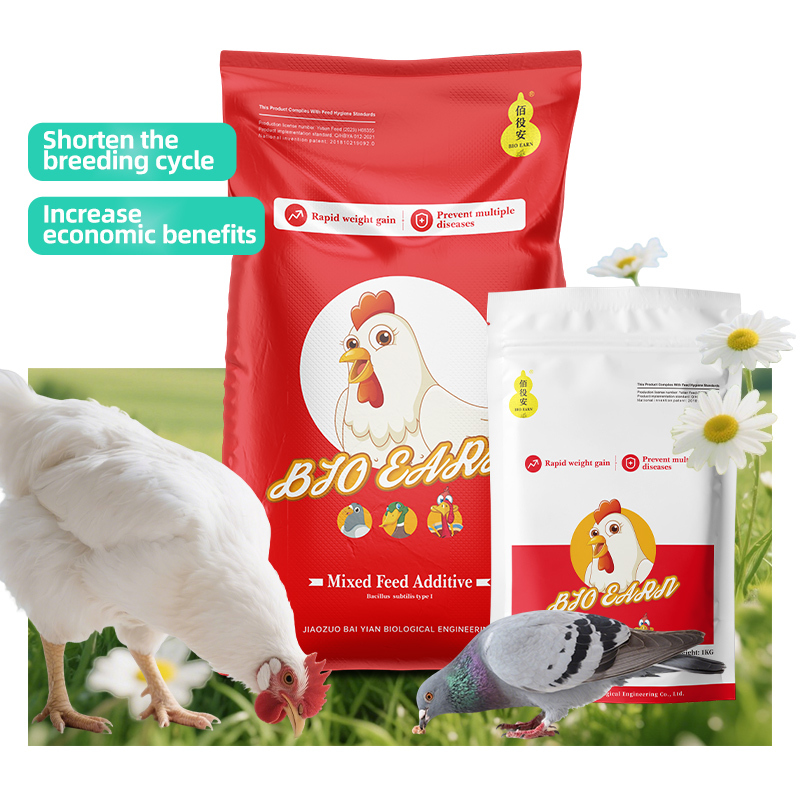 Bio Earn Egg Chicken Feed Additives