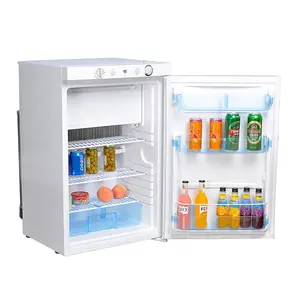 Mini refrigerador de Gas propano para el hogar, refrigerador portátil de una sola Puerta de 100L para bebidas frías