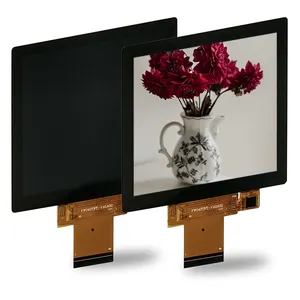 22 Years industry 3.95 TFT LCD Panel 480*480 LCD Display LCD Display Panel 480X480 Px Display