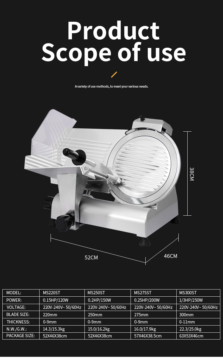 ASAKI Italy Import Blade 250 ES 10 Inch Most Popular Electric Commercial Frozen Meat Sausage Fish Meat Slicer