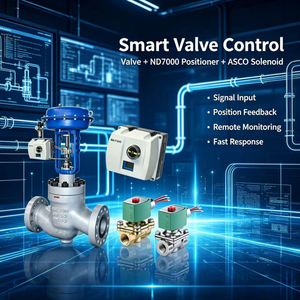 Controlador Digital Inteligente Valmet Me-sto ND7000 con Solenoide para Control de Procesos - Product Image 6