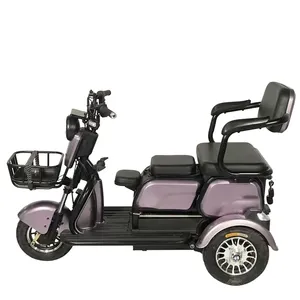 Factory Wholesale Electric Passenger Trike 3 Wheel E Bike Electric Bicycle For The Elderly Mobility Scooter