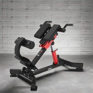 Chaise romaine d'extension dorsale à 45 degrés avec plaque de fixation antidérapante pour les pieds, banc d'entraînement corporel stable, vente en gros directe d'usine, faible MOQ - Product Image 5