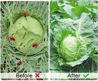 Filet anti-insectes en polyéthylène blanc tricoté pour l'agriculture, 40 mailles, pour arbres, serres et jardins potagers