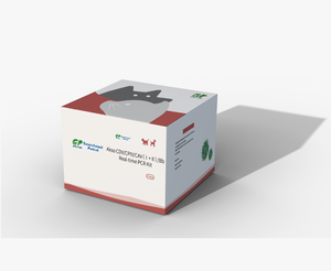 Kit PCR en temps réel <span class=keywords><strong>Akso</strong></span> Bb/CPIV/CAV/CDV pour la détection qualitative in vitro de l'acide désoxyribonucléique de Bordetella Bronchiseptica - Product Image 1