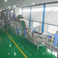 1 ~ 60 Ton Per Uur Industriële Hoogwaardige Aardbeienpulpverwerkingsmachine Productielijn Aardbeienverwerkingsmachines