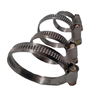 Allemagne Collier de serrage en acier inoxydable de haute qualité Colliers de serrage vissés OEM Support personnalisé Abrazaderas Tipo