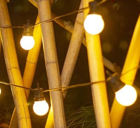 Hometown <span class=keywords><strong>Evolution</strong></span> 100 pieds noir G50 Globe guirlandes lumineuses cuivre extérieur guirlandes lumineuses pour patio café fête éclairage de noël - Product Image 2