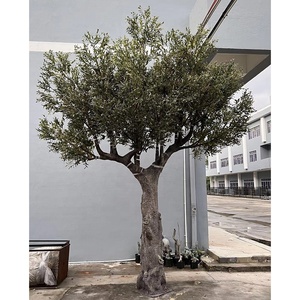Tùy Chỉnh 6ft 7ft 8ft 10ft Nhân Tạo Sang Trọng UV Giả Ô Liu Nhà Máy Lụa Lá Nhân Tạo Bất Cảm Ứng Ô Liu Cây Trang Trí Trong Nhà - Product Image 4